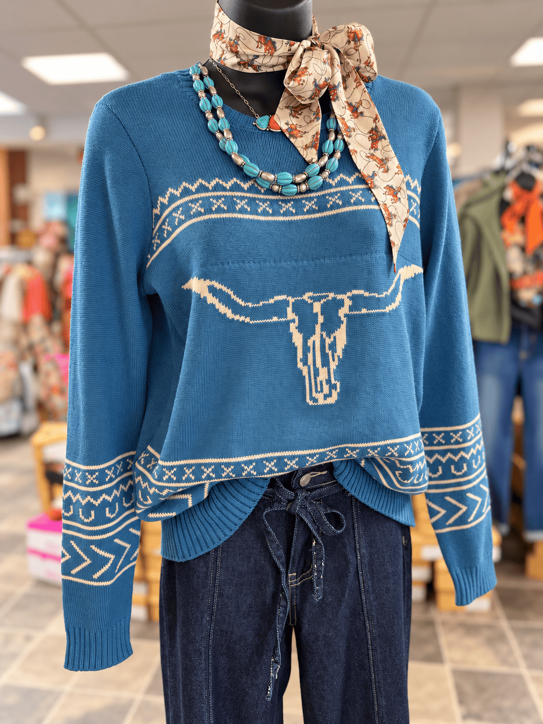 Shop Envi Me Tops and Tunics The Autumn San Jacinto Steer Sweater