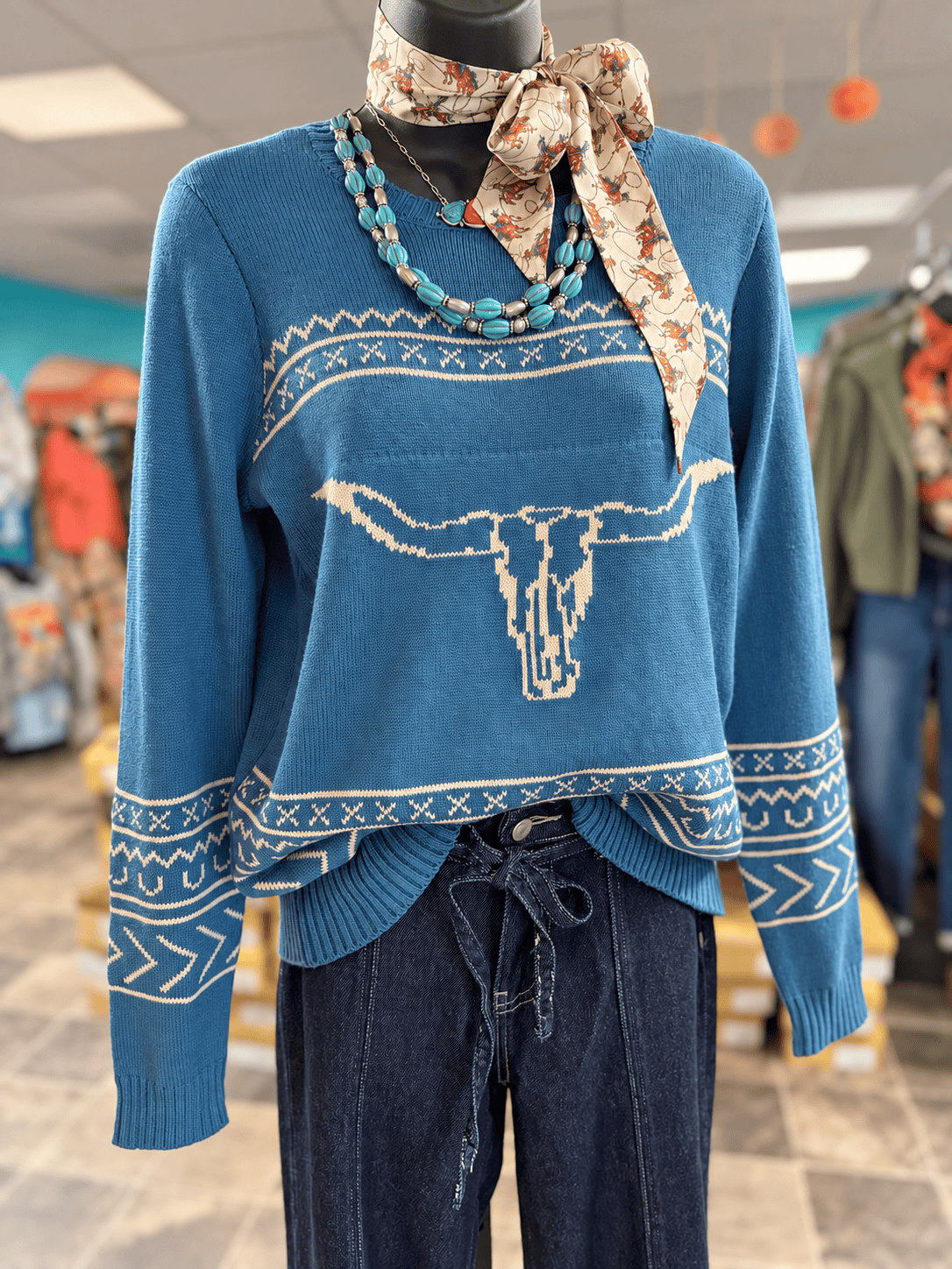 Shop Envi Me Tops and Tunics The Autumn San Jacinto Steer Sweater