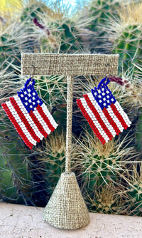 Shop Envi Me Earrings The Beaded Americana Earring