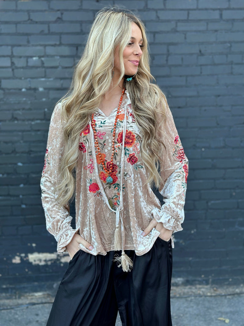 Shop Envi Me Tops and Tunics The Capistrano Embroidered Velvet Top