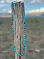Shop Envi Me Necklaces The Carson City Turquoise Necklace