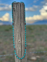Shop Envi Me Necklaces The Carson City Turquoise Necklace