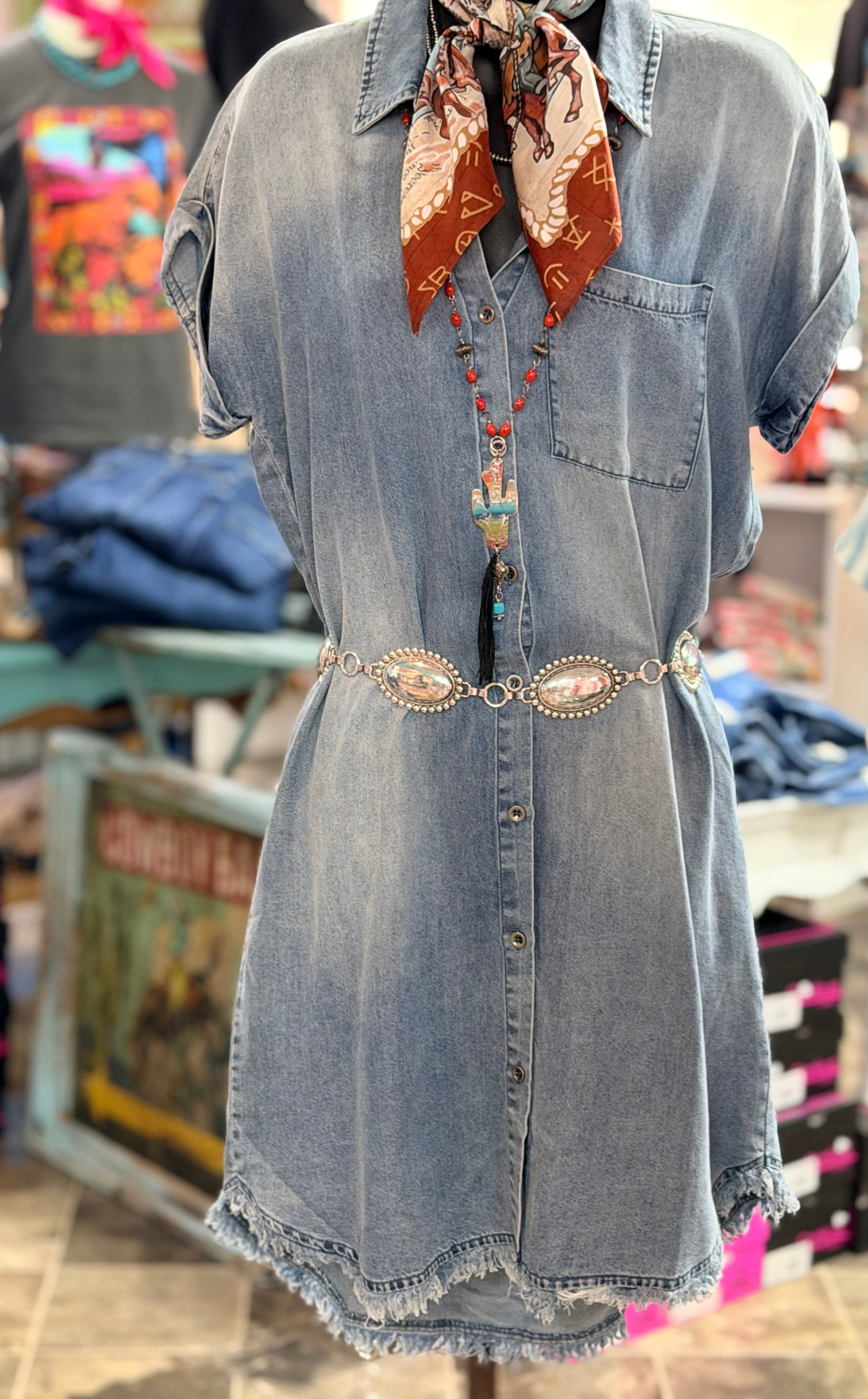 Shop Envi Me Tops and Tunics The Chambray Canyon Dress