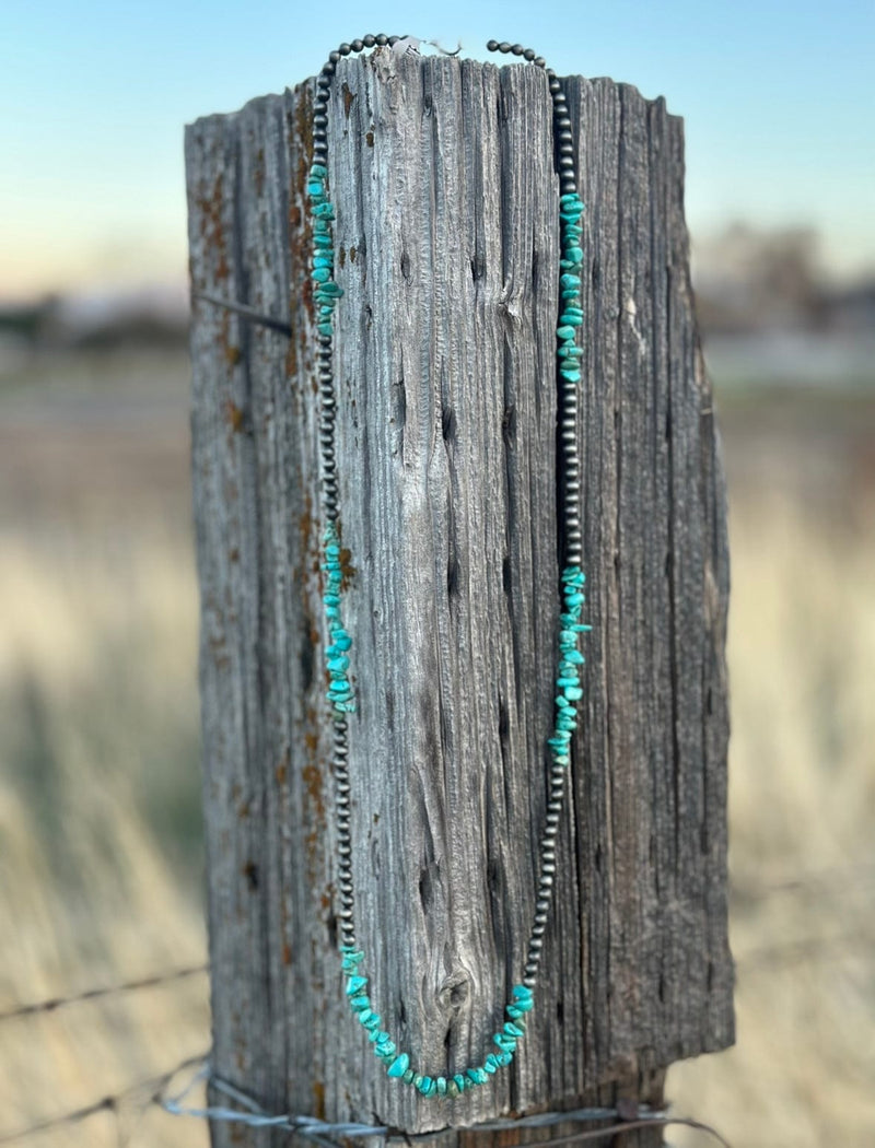 Shop Envi Me Jewelry The Cheyenne Silver & Turquoise Necklace