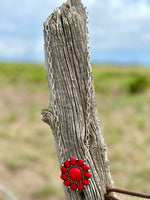 Shop Envi Me Jewelry The Coral Conchita Necklace on Silver Chain