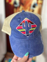 Shop Envi Me Cap Denim Serape The Desert Cactus Cap