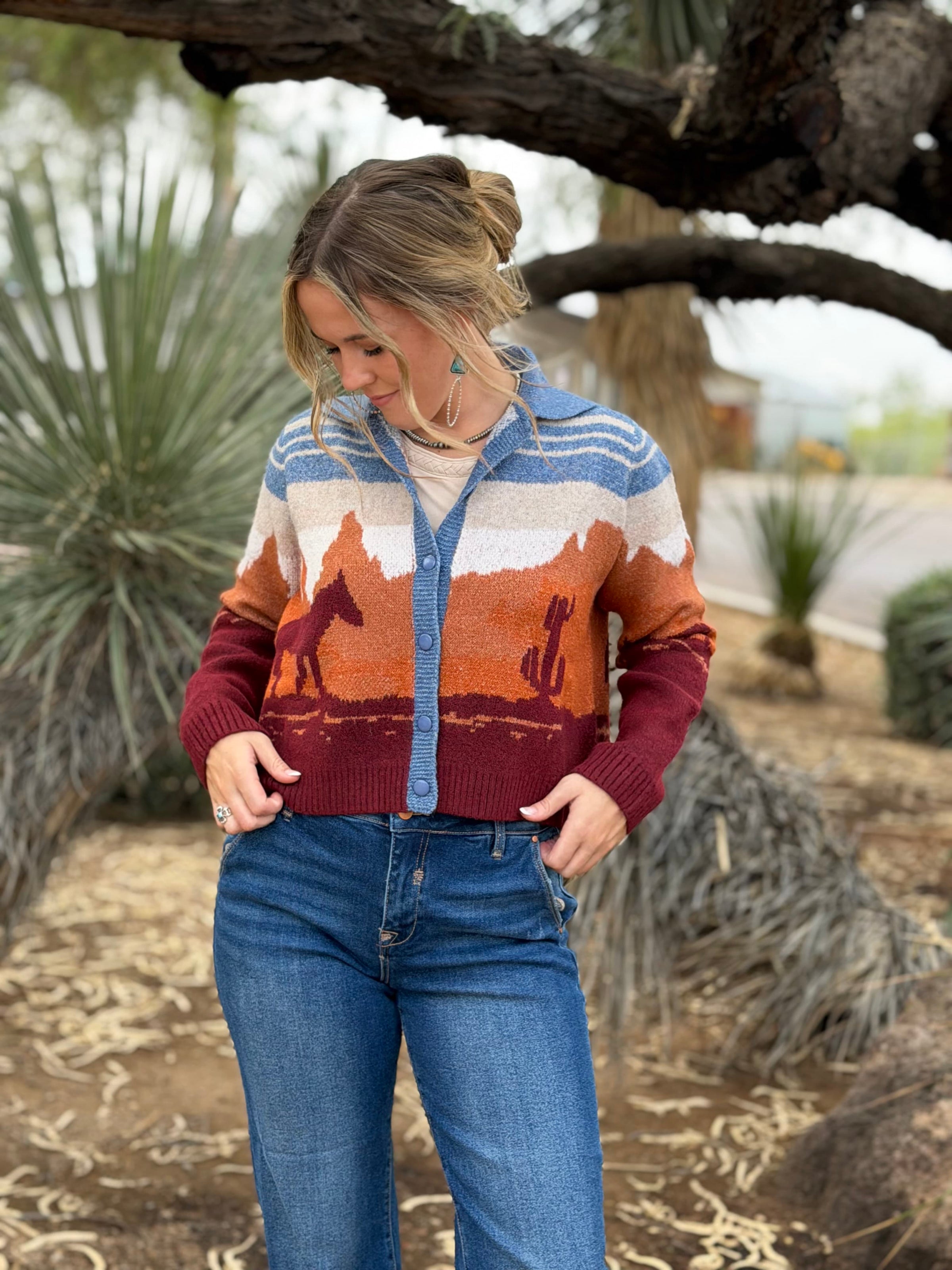 Shop Envi Me The Desert Sunset Western Cardigan