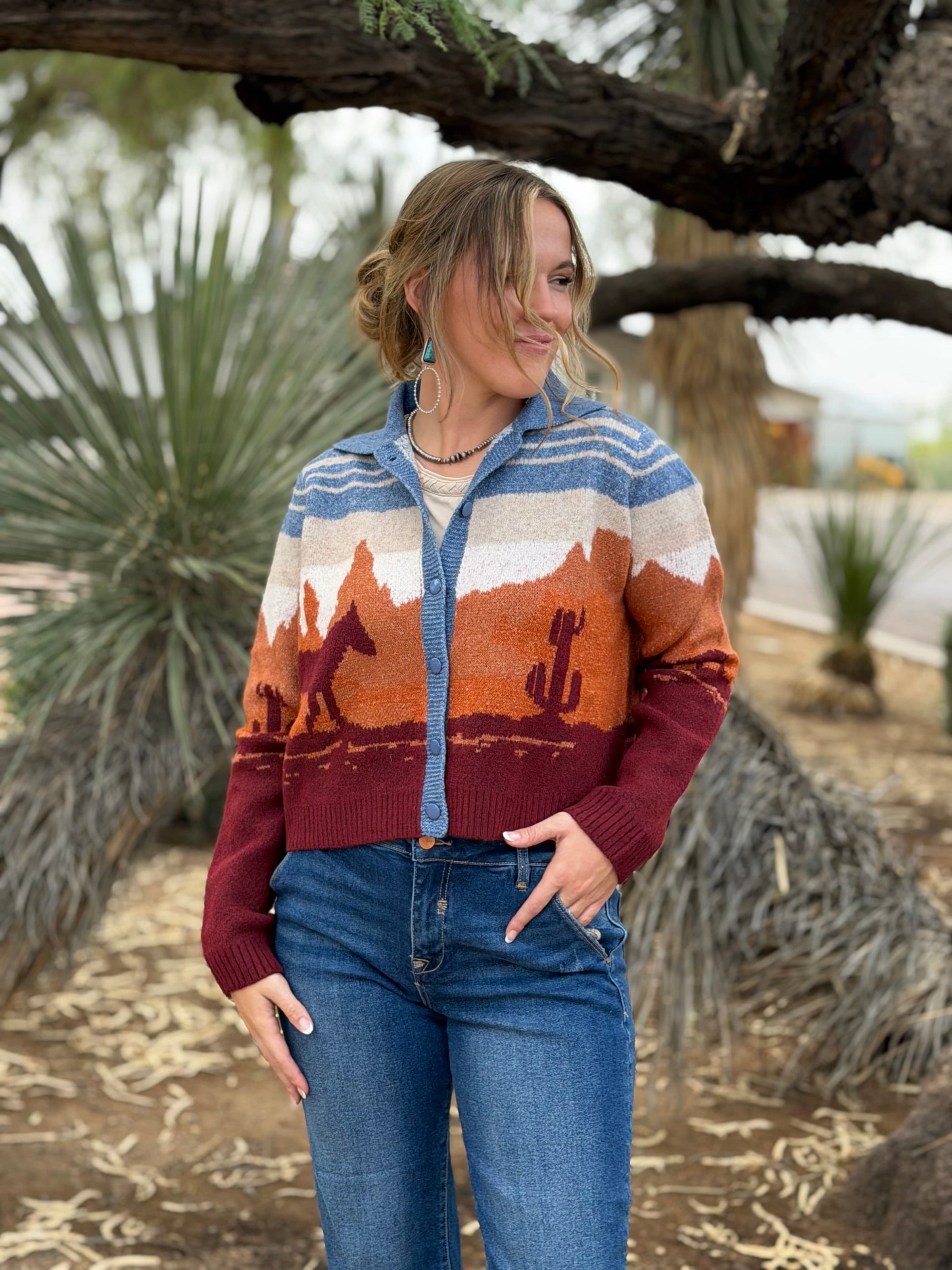 Shop Envi Me The Desert Sunset Western Cardigan
