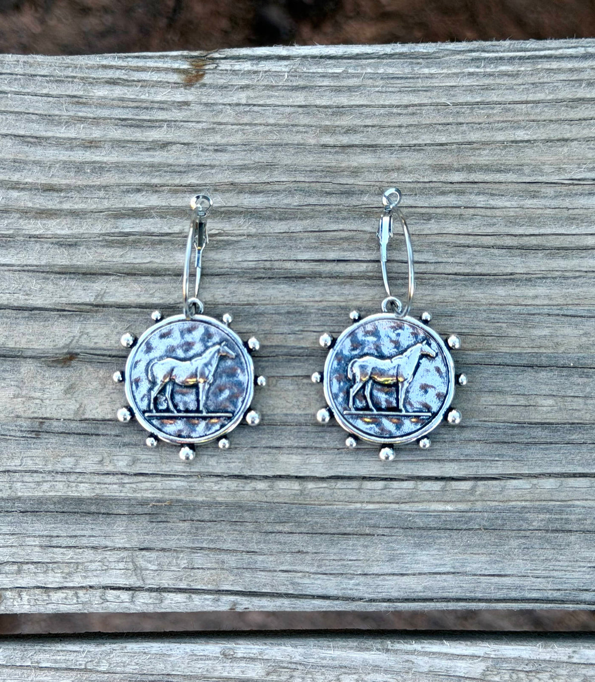 Shop Envi Me Jewelry Default Title / Silver The Equestrian Horse Coin Earrings