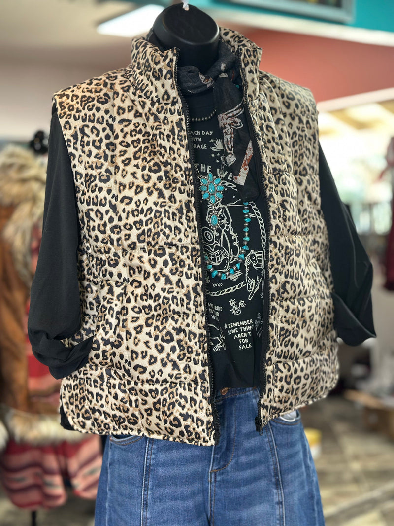 Shop Envi Me Cardigans and Kimonos The Fall City Kitty Cheetah Vest