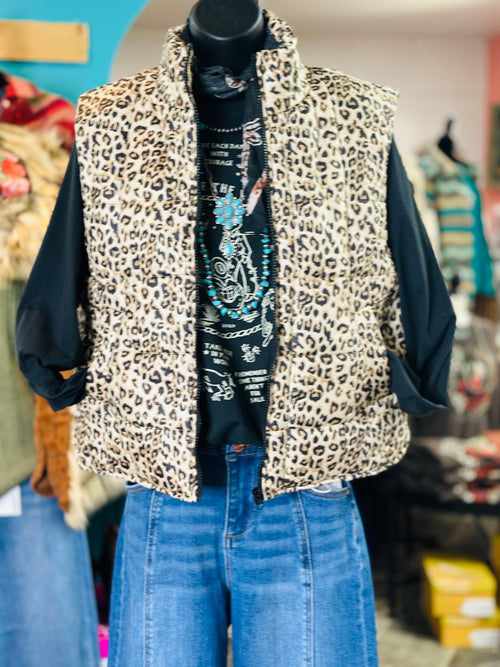 Shop Envi Me Cardigans and Kimonos The Fall City Kitty Cheetah Vest