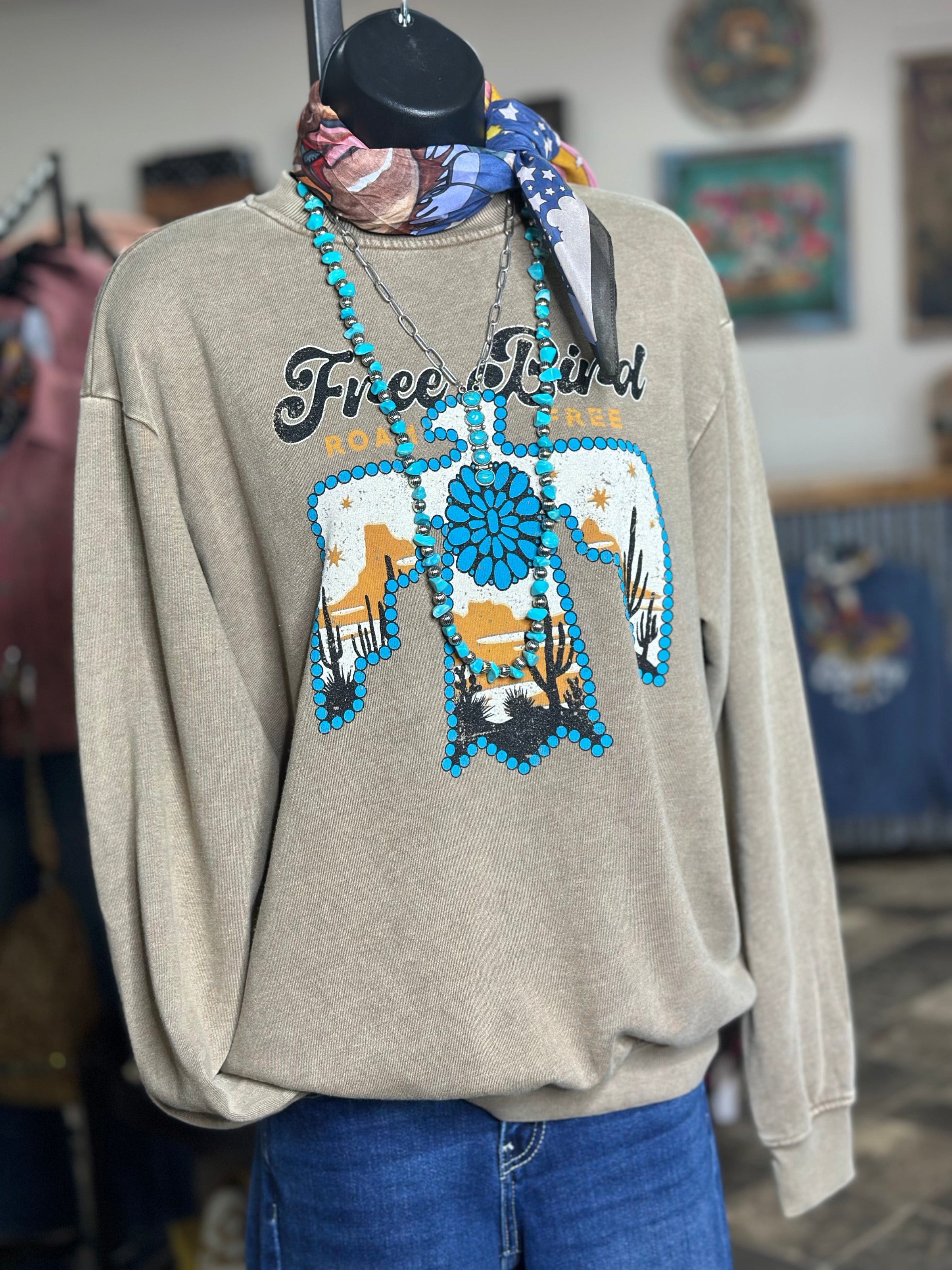 Shop Envi Me Tops and Tunics The Free Bird Thunderbird Sweatshirt