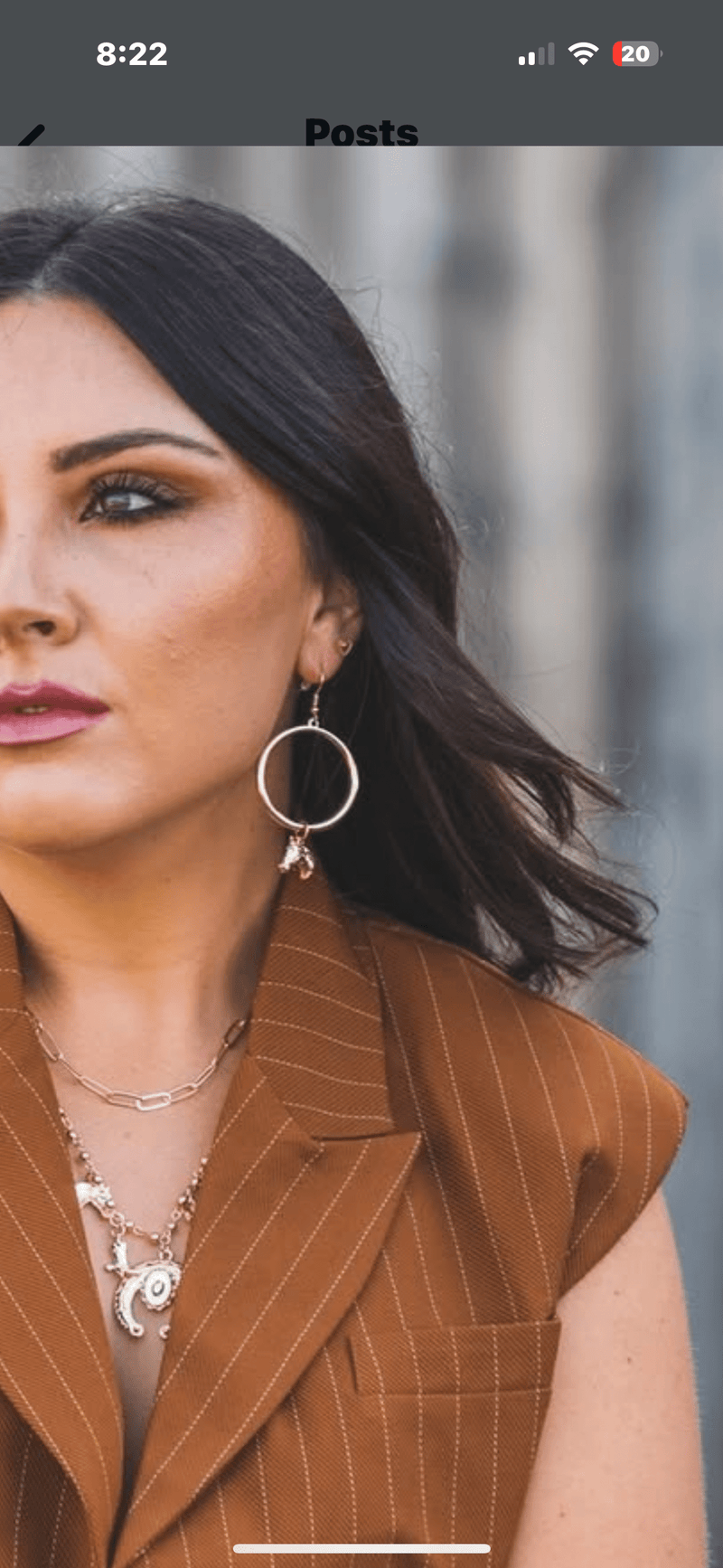 Shop Envi Me Earrings Gold The Gold Horse On A Hoop Earring