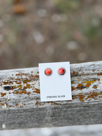 Shop Envi Me Earrings Silver The NA Sterling Silver & Coral Stud Earring