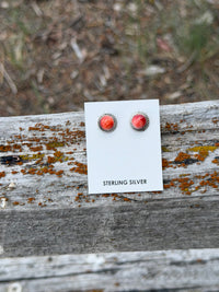 Shop Envi Me Earrings Silver The NA Sterling Silver & Coral Stud Earring