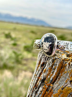 Shop Envi Me Bracelets Silver & Kingman Turquoise The Nopal Native American Sterling Silver & White Buffalo Turquoise (Real) Southwest Cuff Bracelet