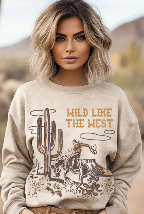 Shop Envi Me The Oatmeal Wild Like The West Pullover
