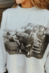 Shop Envi Me Tops and Tunics The Old School Hereford Sweatshirt