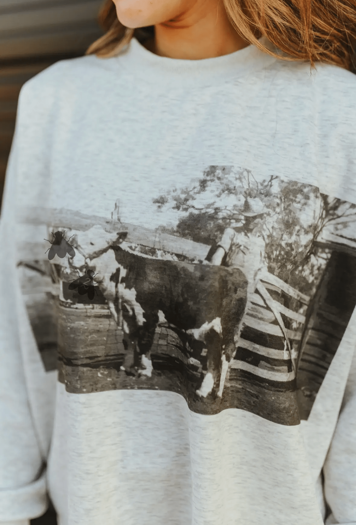 Shop Envi Me Tops and Tunics The Old School Hereford Sweatshirt
