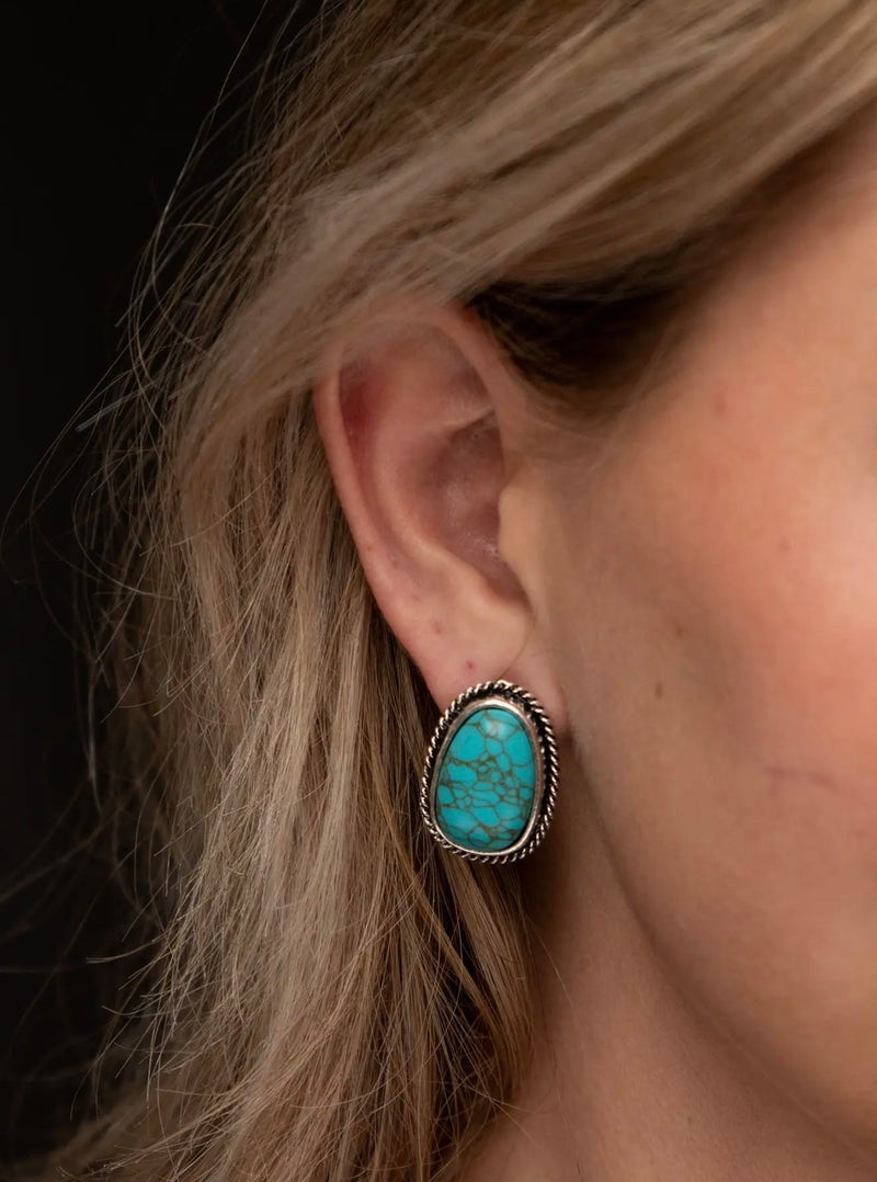 Shop Envi Me Earrings The Pop of Turquoise Southwest Earring