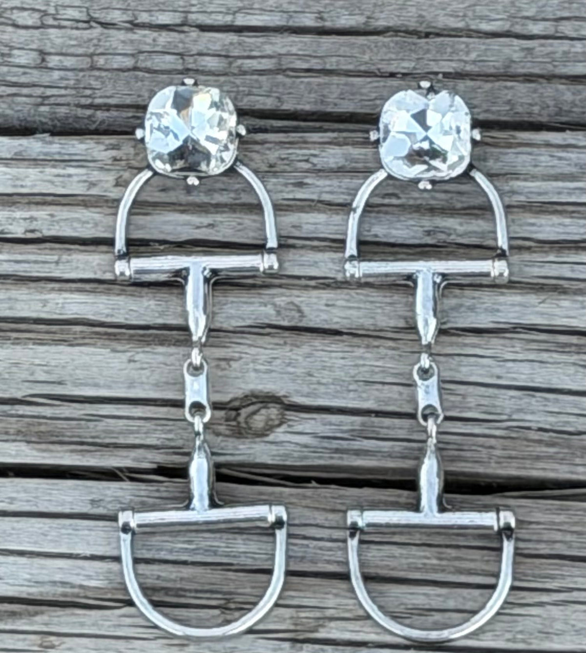 Shop Envi Me Necklaces Silver Tone The Saddle Up Snaffle Bit Sparkle Crystal Earrings