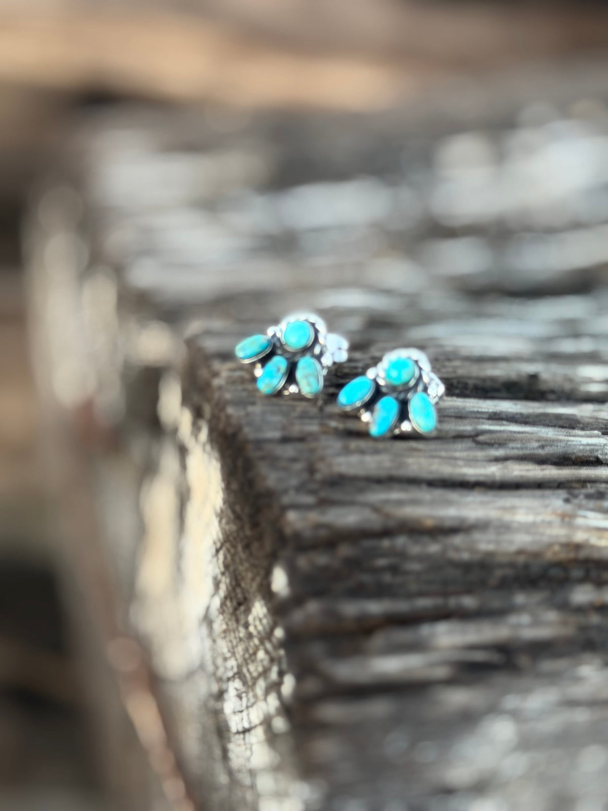 Shop Envi Me Earrings Silver The Sterling & Turquoise Mini Cluster Stud Earring