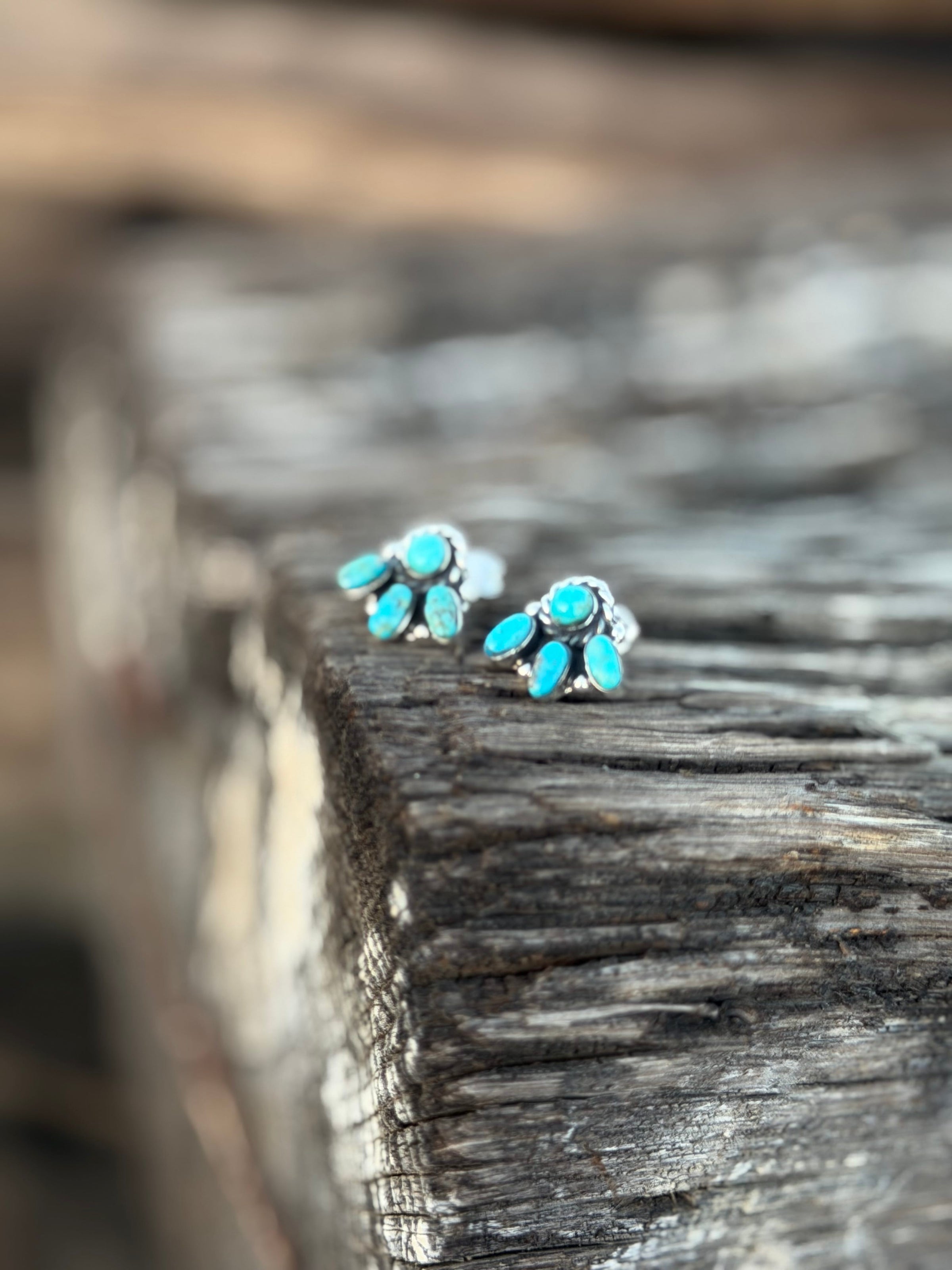 Shop Envi Me Earrings Silver The Sterling & Turquoise Mini Cluster Stud Earring