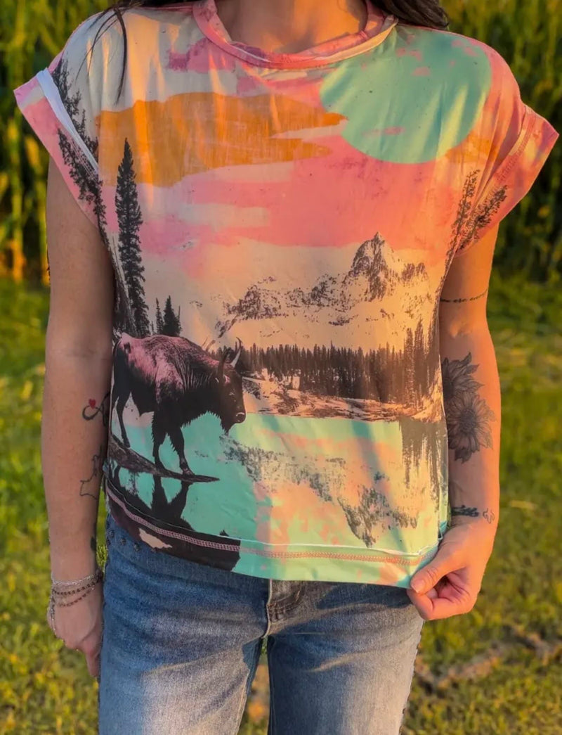 Shop Envi Me Tops The Sunset Buffalo Top