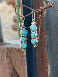 Shop Envi Me Earrings Sterling Silver The Turquoise Sterling Drop Earring