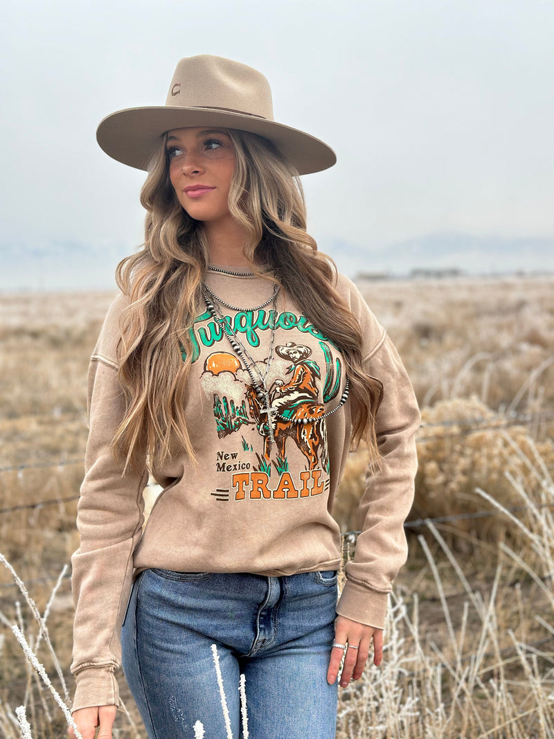 Shop Envi Me Tops and Tunics The Turquoise Trail Sweatshirt