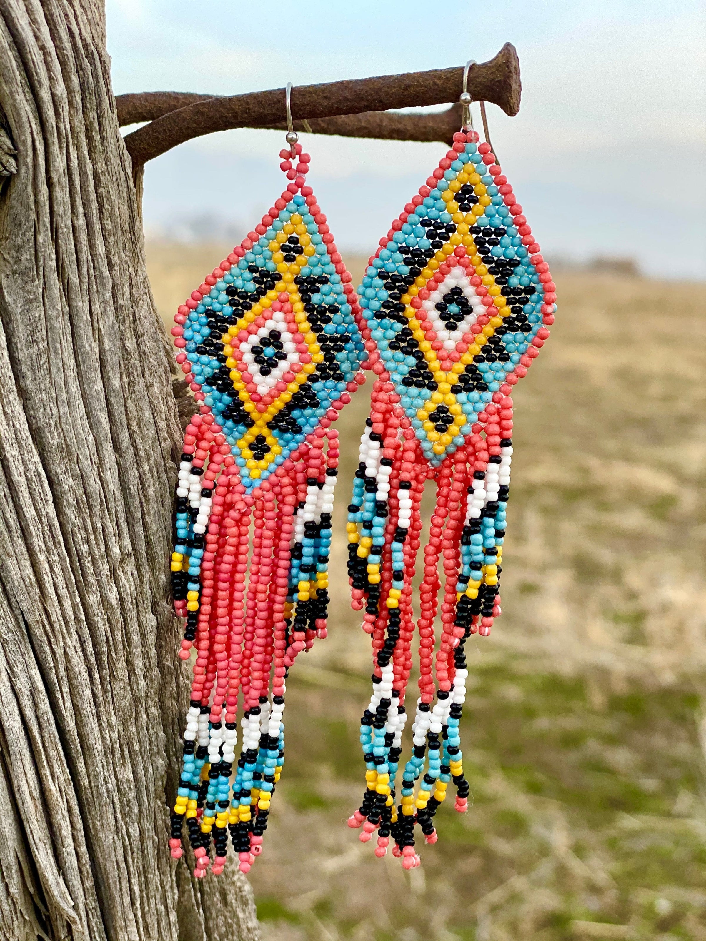 Coral Fringe Earrings 2024 epicamlv