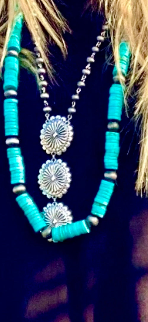 Shop Envi Me Jewelry The Rita Conchita Silver Concho Necklace