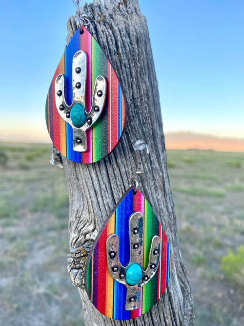 Shop Envi Me Earrings The Southwest Stripe Cactus Earrings