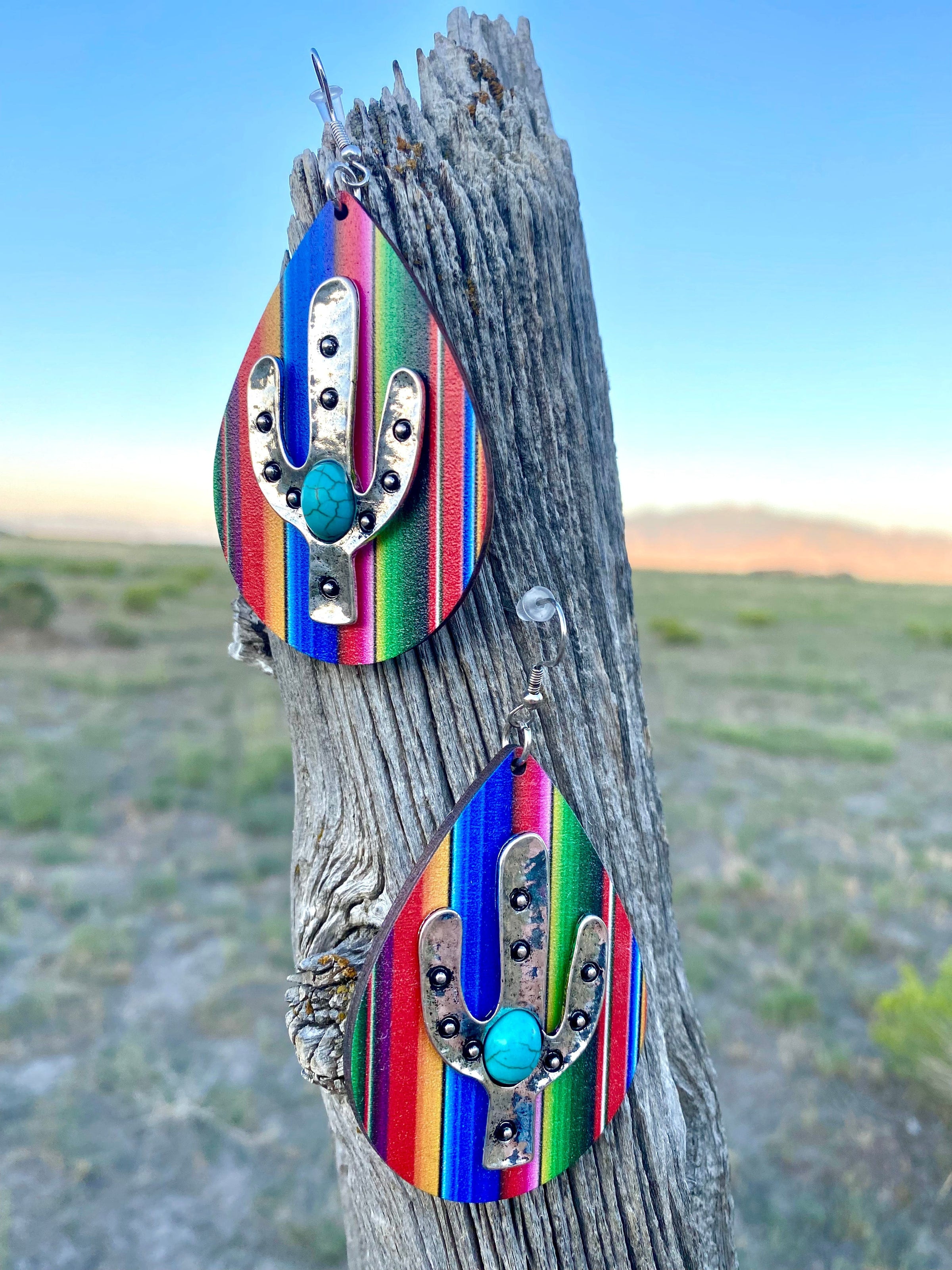 Shop Envi Me Earrings The Southwest Stripe Cactus Earrings