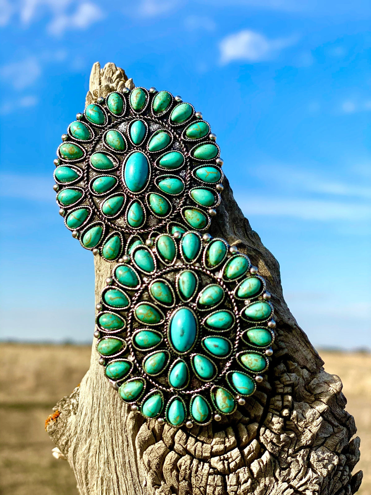 Shop Envi Me Earrings The Turquoise Sun Statement Earrings